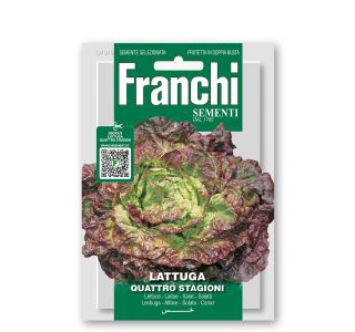 LISTNA ZELENJAVA FRANCHI SEMENTI SOLATA ŠTIRJE LETNI ČASI