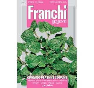 MAJARON FRANCHI SEMENTI ORIGANO COMUNE
