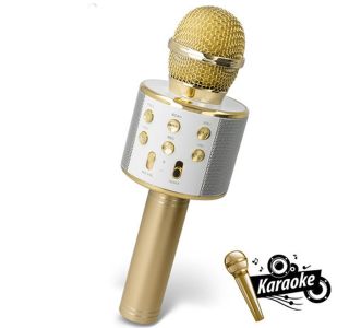 BMS-300