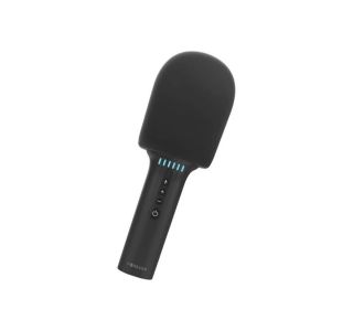 SING IT BMS-500