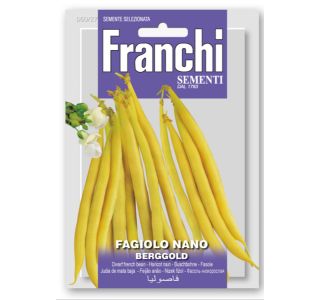 STROČNICA FRANCHI SEMENTI NIZEK FIŽOL BERGOLD