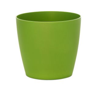 17 CM BAMBUS