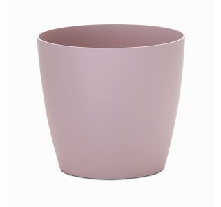17 CM ROZA