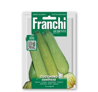 PLODOVKA FRANCHI SEMENTI BUČKA GENOVESE