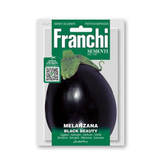 PLODOVKA FRANCHI SEMENTI JAJČEVEC BLACK BEAUTY