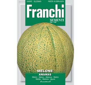 MELONA ANANAS