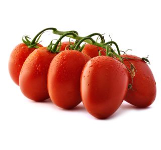 PLODOVKE L'ORTO FRUTTIFERO CEPLJEN PARADIŽNIK 1/1 SALENTINO F1 L14