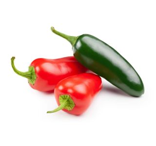 PLODOVKE L'ORTO FRUTTIFERO ČILI MEHIŠKI 1/1 JALAPENO L14