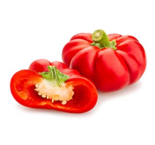PLODOVKE PAPRIKA PARADIŽNIK L10 CM