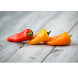 PLODOVKE PAPRIKA SNACK L10 CM