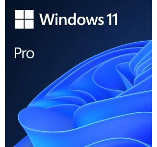 PROGRAMSKA OPREMA MICROSOFT MS 1X WIN 11 PRO 64BIT DVD OEM (EN)