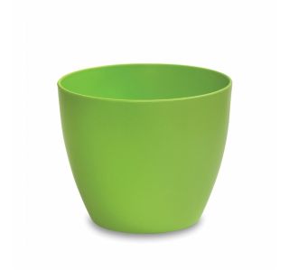 PE NOTRANJI LONEC 13 CM ZELEN