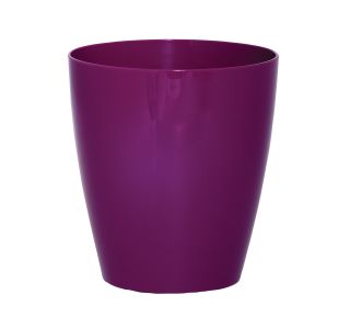 PE NOTRANJI LONEC IRIS 14 CM VIJOLA