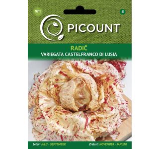 LISTNA ZELENJAVA VILMORIN RADIČ VARIEGATA CASTELFRANCO DI LUSIA