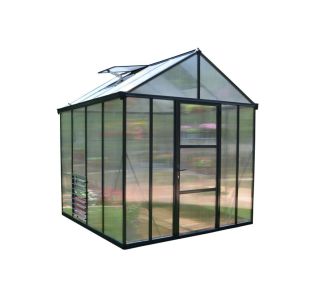RASTLINJAK - GLORY 8X8