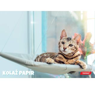 RISALNI LISTI,KOLAŽ PAPIR TARGET KOLAŽ PAPIR A4 20 LISTOV 100 G ANIMAL BABY 26066