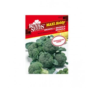 MAXI HOBBY 6 BROKOLI CORVET