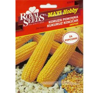 ROYAL SEEDS MAXI HOBBY KORUZA POKOVKA