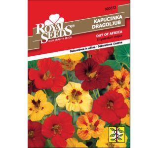 KAPUCINKA ROYAL SEEDS OUT OF A. 72