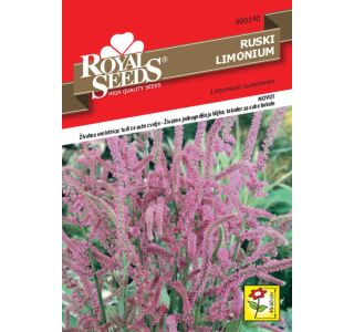 STATICA ROYAL SEEDS MREŽNICA 140 RUSKI LIMONIUM