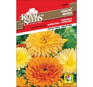 OGNJIČ ROYAL SEEDS MEŠ. 32