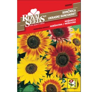 SONČNICA ROYAL SEEDS VISOKA MEŠ. 95