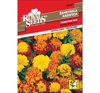 TAGETES ROYAL SEEDS ŽAMETNICA CM NIZKA 67