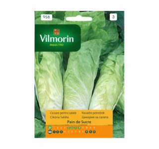 SEME CVETOČE RASTLINE VILMORIN NAVADNI POTROŠNIK PAIN DE SUCRE