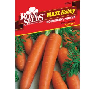 KORENOVKA ROYAL SEEDS KORENČEK NANTES MH 22