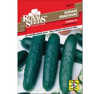 PLODOVKA ROYAL SEEDS KUMARE DARINA F1 144