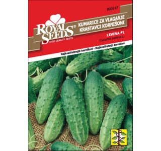 PLODOVKA ROYAL SEEDS KUMARE LEVINA F1 147