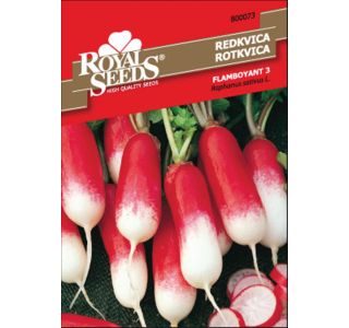 KORENOVKA ROYAL SEEDS REDKVICA FLAMBOYANT 73