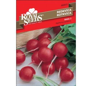 KORENOVKA ROYAL SEEDS REDKVICA SAXA 72