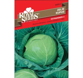 KAPUSNICA ROYAL SEEDS ZELJE DITMAR 13