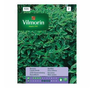 BAZILIKA VILMORIN DROBNOLISTA ZELENA