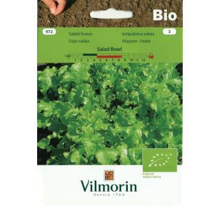 SEMENA VILMORIN BIO KRHKOLISTNA SOLATA SALAD BOWL