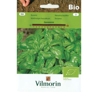 BAZILIKA VILMORIN BIO NAVADNA GENOVESE