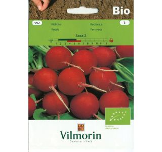 SEMENA VILMORIN BIO REDKVICA SAXA 2