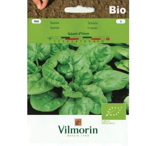 SEMENA VILMORIN BIO ŠPINAČA GEANT D'HIVER