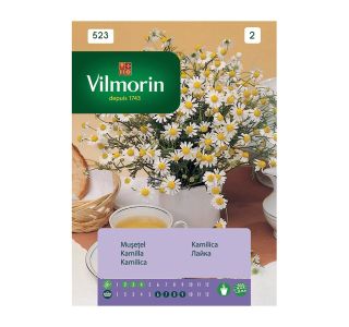 SEME DIŠAVNICE VILMORIN KAMILICA