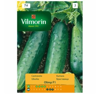 PLODOVKA VILMORIN KUMARA OLIMP F1