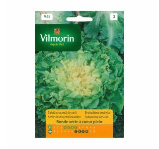 LISTNA ZELENJAVA VILMORIN ŠIROKOLISTNA ENDIVIJA RONDE VERTE A COEUR PLEIN