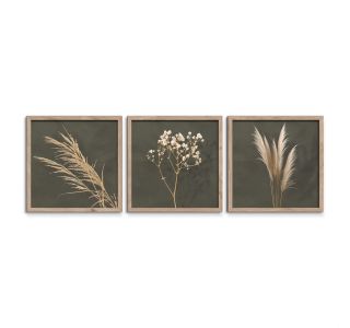 SLIKA STYLER PAMPAS TROJNA Z OKVIRJEM 30X30 FR391