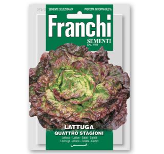 SOLATA ŠTIRJE LETNI ČASI