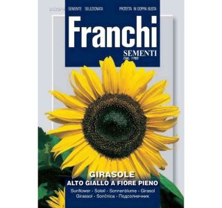 SONČNICA FRANCHI SEMENTI VISOKA RUMENA