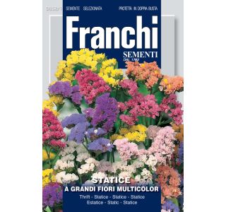 STATICA FRANCHI SEMENTI VEČBARVNA