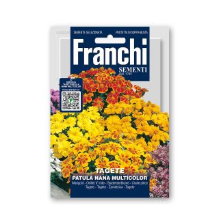 TAGETES FRANCHI SEMENTI VEČBARVNE ŽAMETNICE TAGETE NANO A FIORI DOPPI