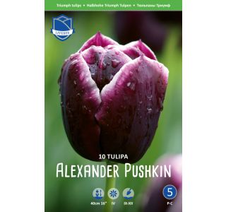 ALEXANDER PUSHKIN 10 KOS