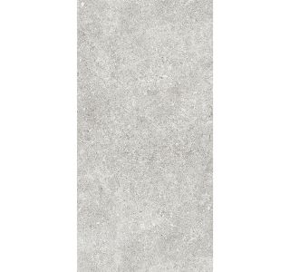 VICENZA GREY 30X60