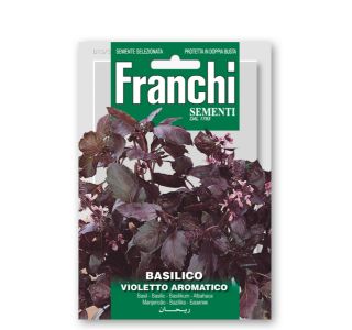 BAZILIKA FRANCHI SEMENTI VIJOLIČNA